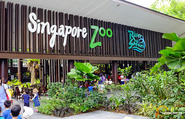 باغ وحش شهر سنگاپور