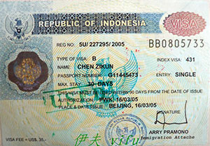 ویزای اندونزی