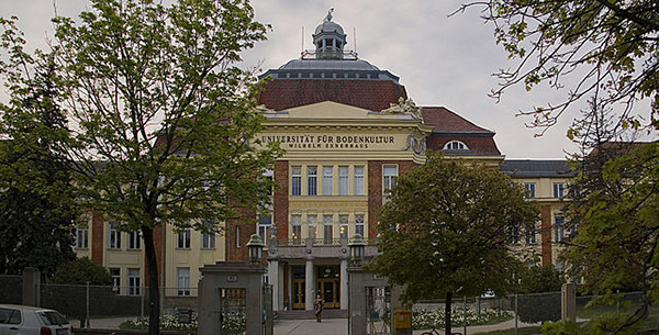 دانشگاه اتریش