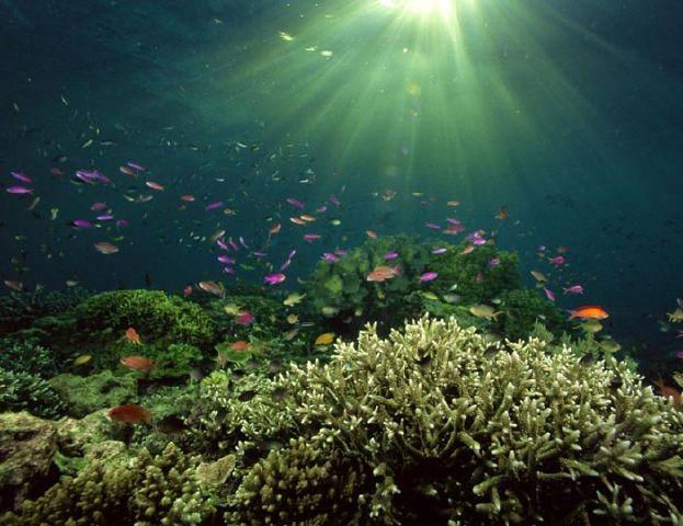 دنیای زیر آب پراگ