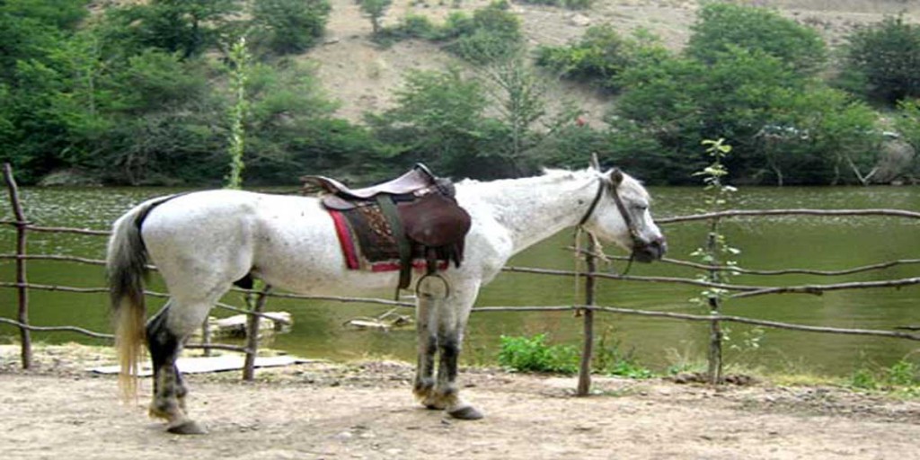 اسب سواری اطراف دریاچه سونگ کول