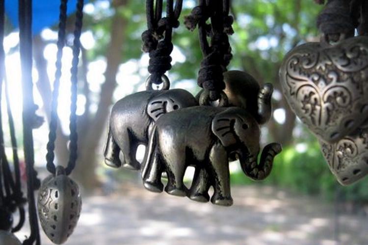 فیل ها و مجسمه های بودا در تایلند
