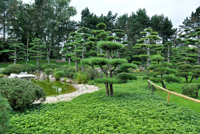 باغ ژاپنی نُردپارک دوسلدورف