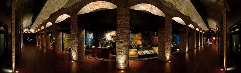 موزه تاریخ والنسیا