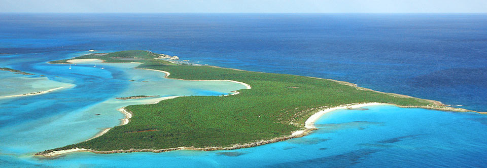 جزیره مشیت