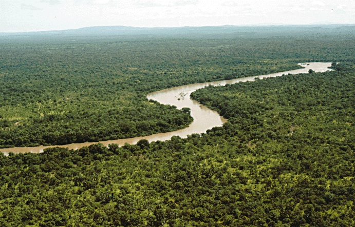 رودخانه گامبیا