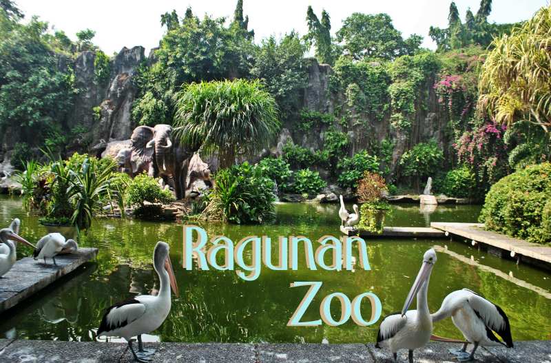 باغ وحش راگونان جاکارتا