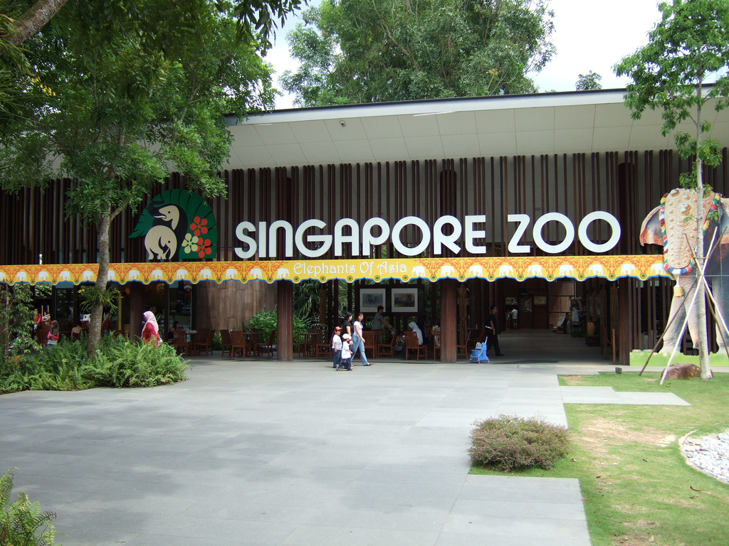 باغ وحش سنگاپور 1