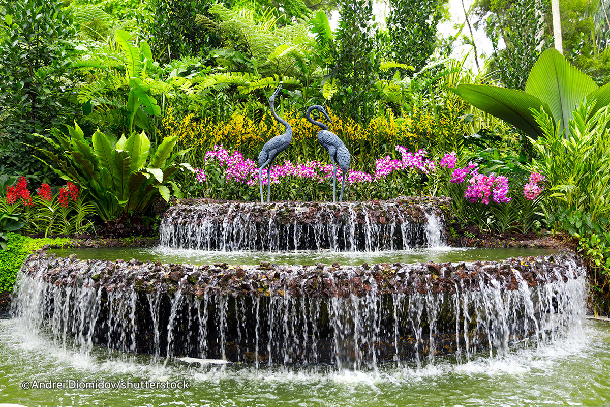 باغ گیاه شناسی سنگاپور 4 1