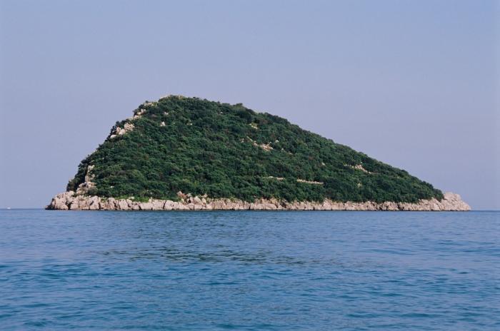 جزیره موش 3